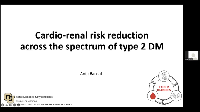 "Cardio-renal Risk Reduction Across the Spectrum of Type 2 DM" presented by Anip Bansal