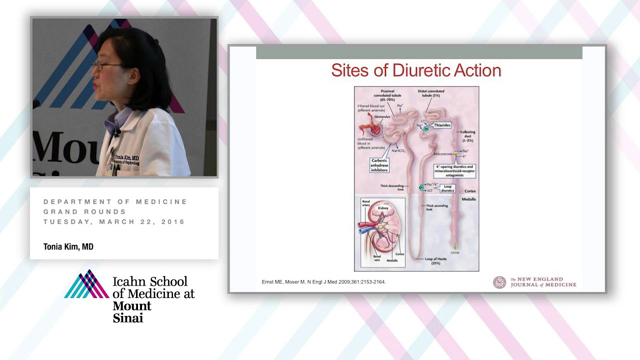 Management of the Fluid Overloaded Patient
