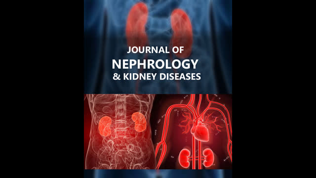 JOURNAL SCAN  INFOGRAPHICS