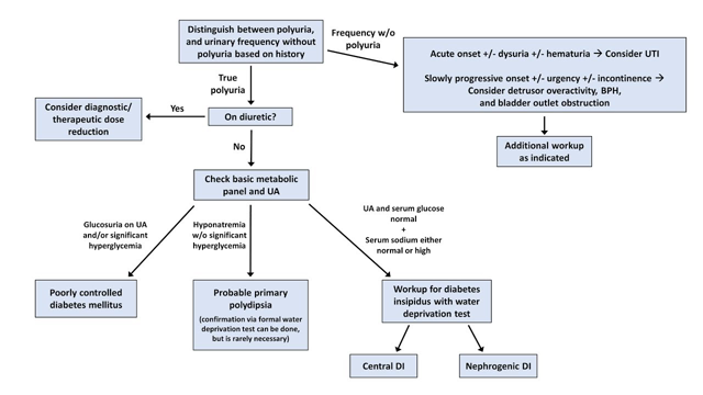 An Approach to Polyuria