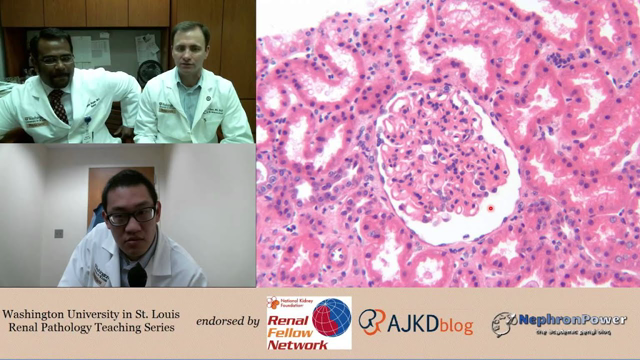 Web Episode #002 - Renal Pathology Teaching Series (Dr. Gaut and Dr. Rajan)