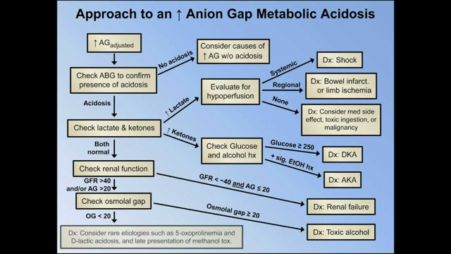 Elevated Anion Gap Metabolic Acidoses - Abridged (Understanding ABGs - Lecture 8)