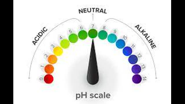 ACID-BASE DISEASE  INFOGRAPHICS