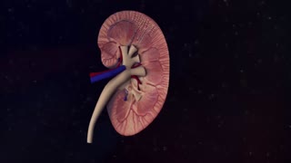 Management of Hyperkalemia in Patients With Hemodialysis-Dependent CKD