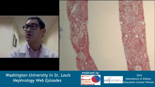 Web Episode #013 - Kidney Pathology 101