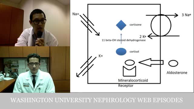 Web Episode #008 - Potassium Board Review (Dr. Edrees)