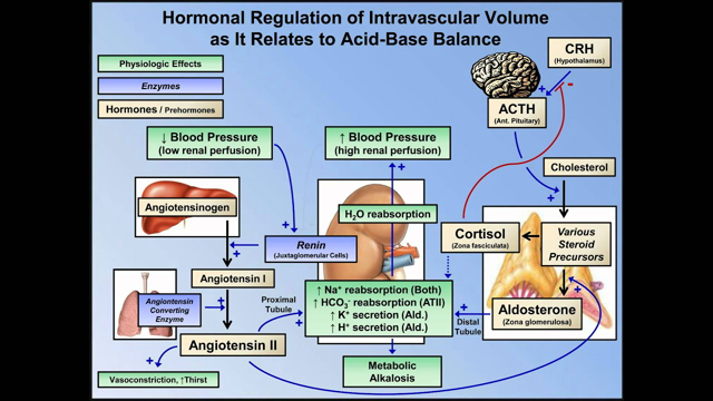Metabolic Alkalosis (ABG Interpretation - Lesson 10)