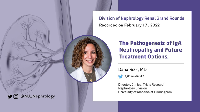 The Pathogenesis of IgA Nephropathy and Future Treatment Options. ft Dana Rizk, MD