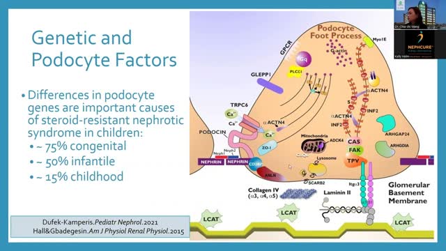 NephCure U: How to Take Control of Your Rare Kidney Disease