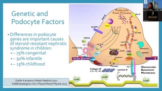 NephCure U: How to Take Control of Your Rare Kidney Disease