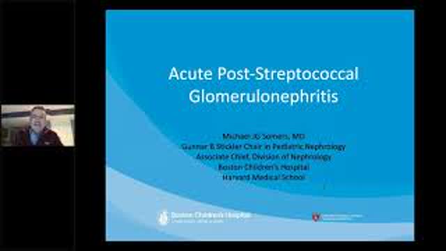 ERKNet Webinar - Acute post-streptoccocal GN by Michael Somers