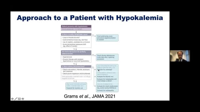 “Potassium and The Kidney†by Dr. Ewout J. Hoorn, Professor of Nephrology