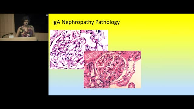 "Not Again! Recurrent Disease After Kidney Transplant", by Priya Verghese, MD, MPH