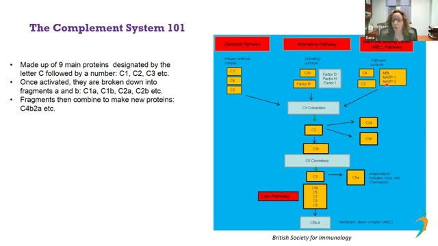 The Role of the Complement System in IgA Nephropathy, C3G, & Membranous Nephropathy