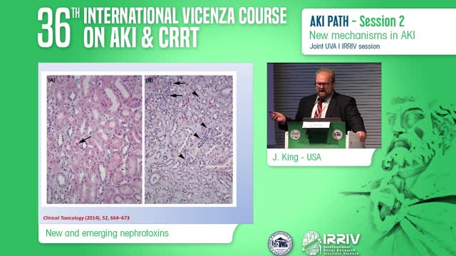 New and Emerging Nephrotoxins - J. King