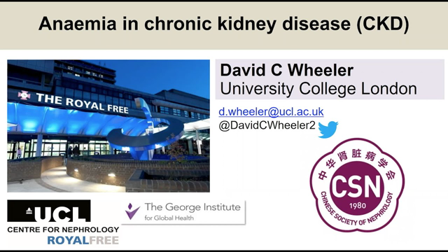 KDIGO Anemia in Chronic Kidney Disease