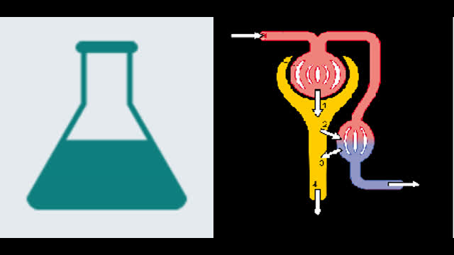 RENAL PHARM /  PHYSIO  INFOGRAPHICS
