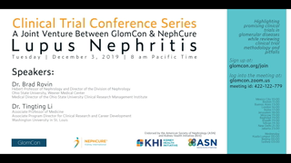 Lupus Nephritis
